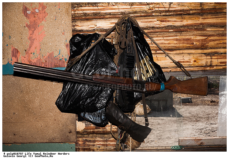 ��������, ��������� �����, ��������� �����, �����, �����