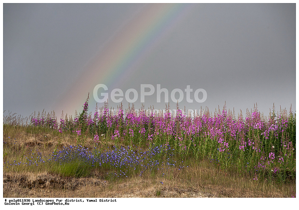 �������, ����, ��������� �����, ������, ����-������, ����� ����, �����, ����, �������, �����, �����, �����������, ������, ����-���, ������