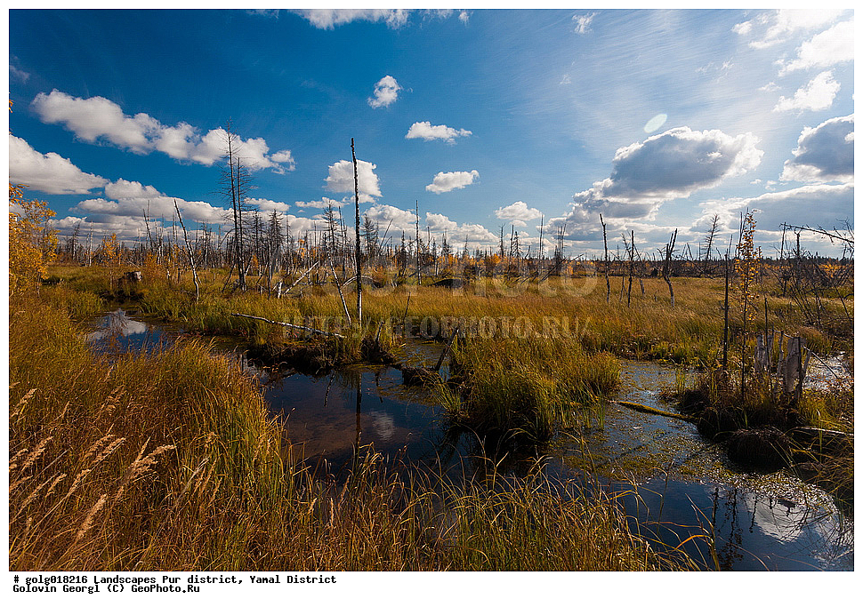 ����, ��������� �����, ������, �������, ����� ����, ����, �����, ����, ������, �����