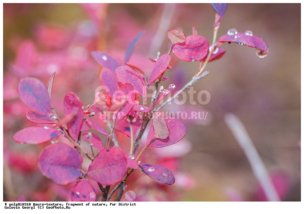 �����-�������, ��������, �������, ��������� �����, ������, ��������, �����, �������, ��������, ��������