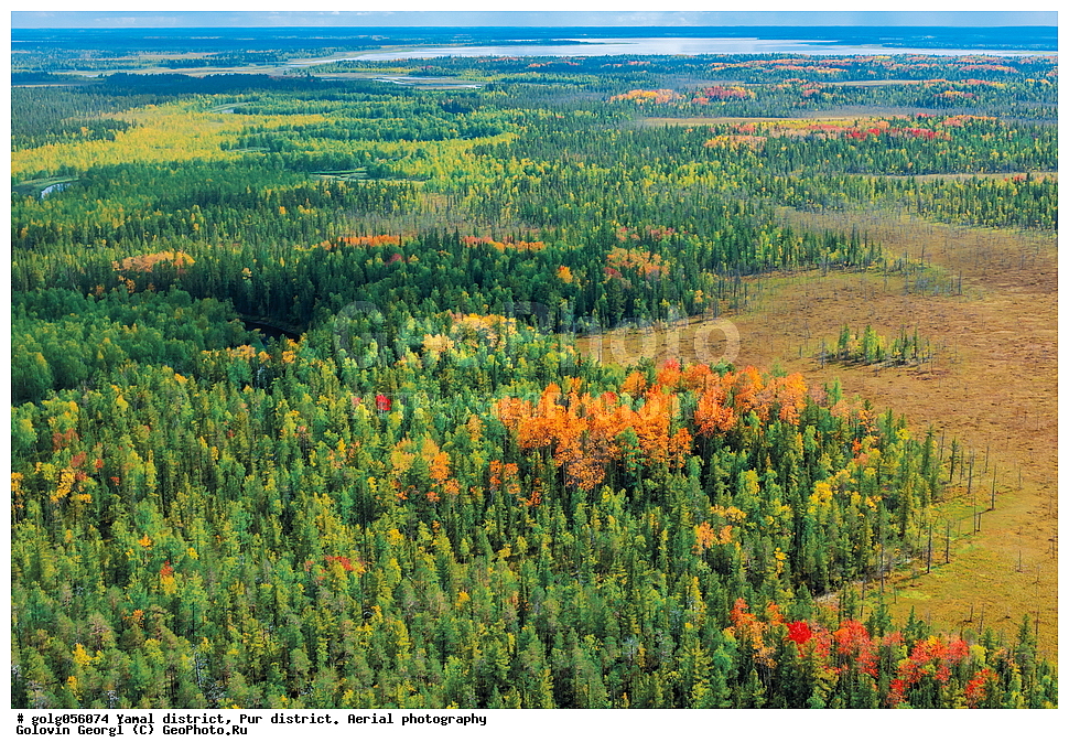 �����-�������� ���������� �����, ��������� �����, ��������������, ������, ������