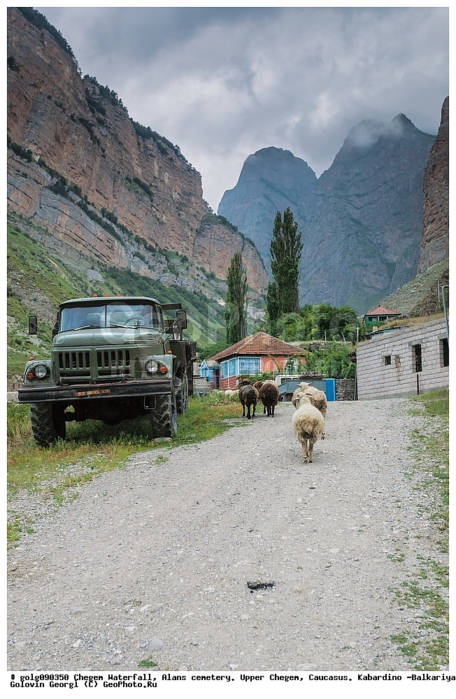  ������ �����, �����, �������, ��������, ������, ���������-��������