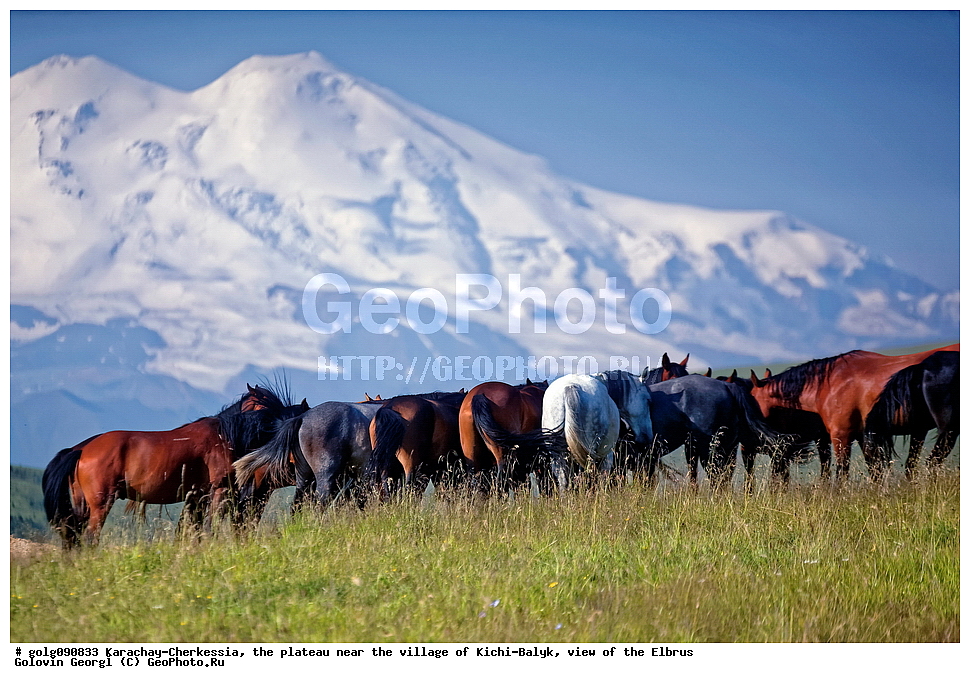 ���������-��������, �����, ����-�����, ������, �������, ������