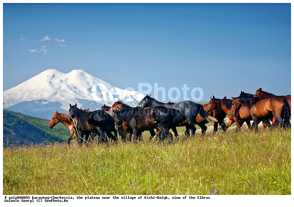 ���������-��������, �����, ����-�����, ������, �������, ������