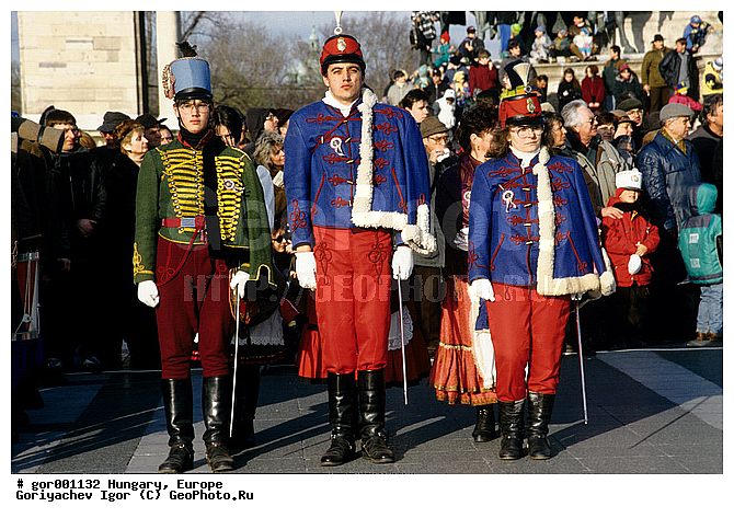 ��������, �������, ��� ������, ����, �����, ������, ������������ ������, ������, ������� �������, �����