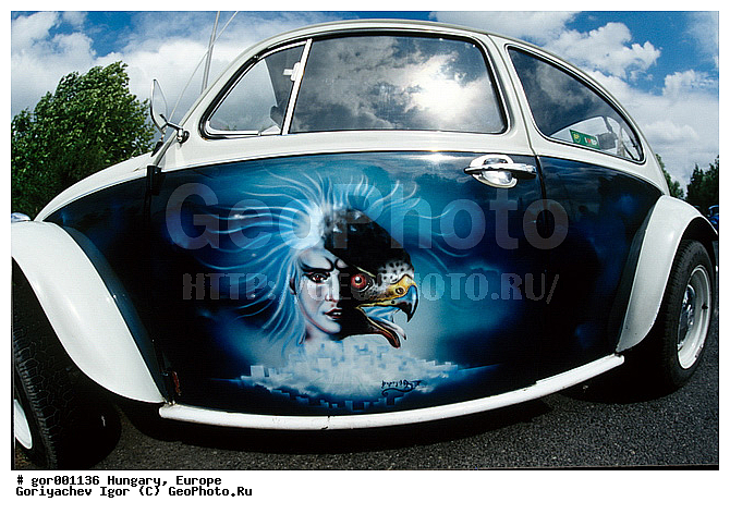 �������, �����������, ����, ����� �������, ��������� ������������ ���