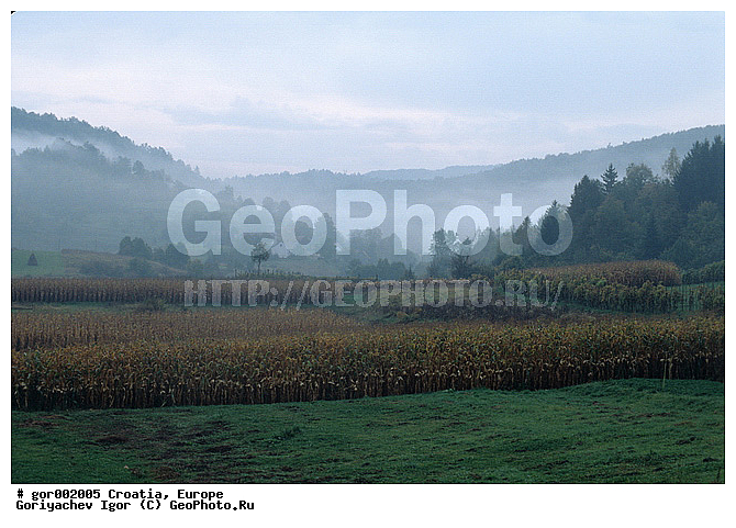 ��������, ���, ����, �����