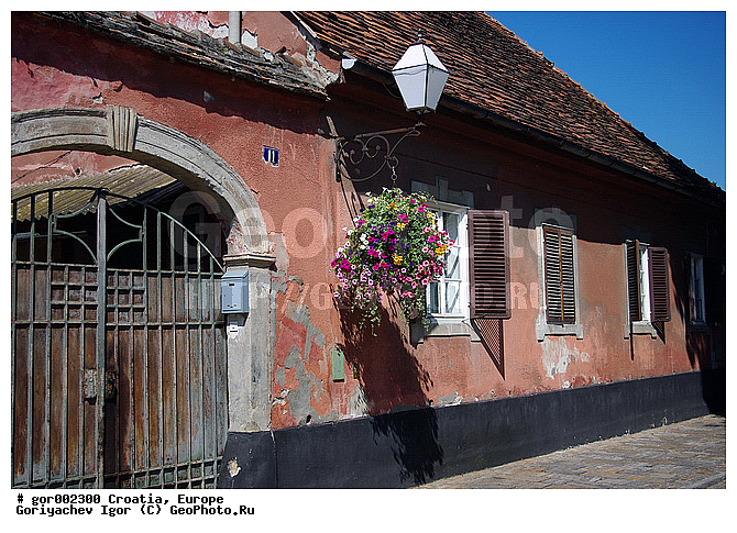 ��������, ��������, ���� ������, ������, �����, ����� ��������, ���, ������������ ������, ������, �����