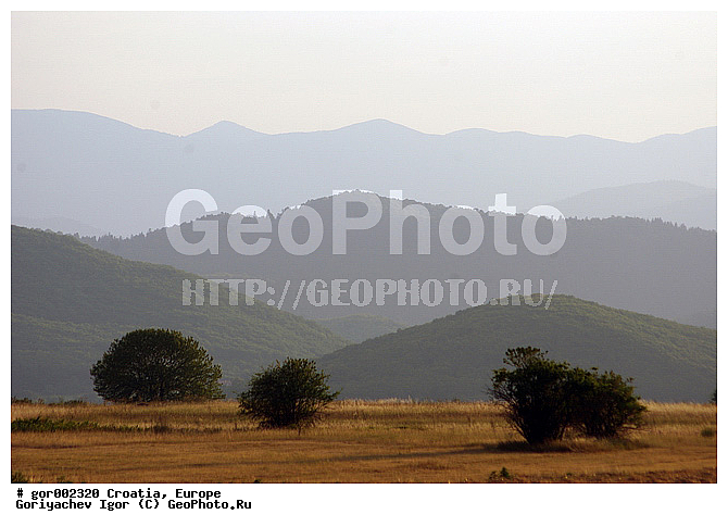 ��������, ����, ������, ������, �����