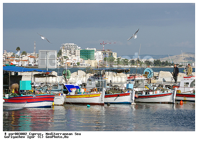 ����, �����, ������ ����, ������