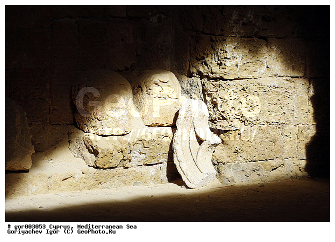 ����, ���������, �������, ������� ������, ������ ����