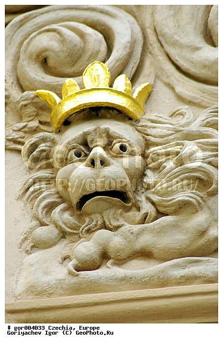 �����, �����, ��������, ���� ������, ������, ���, ������� �����