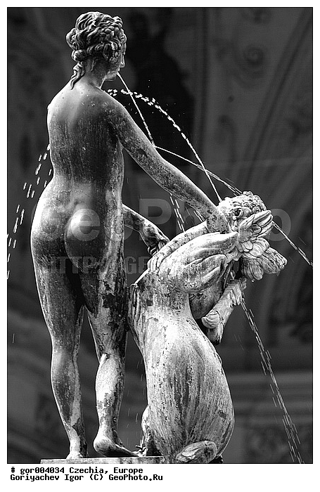 �����, �����, ���� ������, ����������, ������� �����, �����, ������