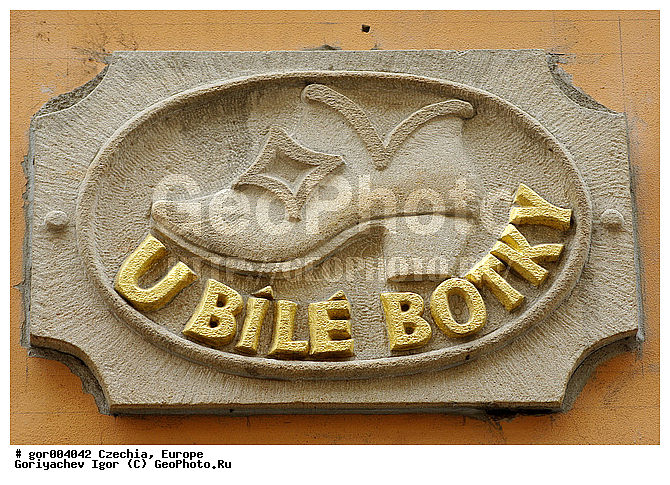 �����, �����, ��������, �������, ���� ������, �������, �������, ������� �����