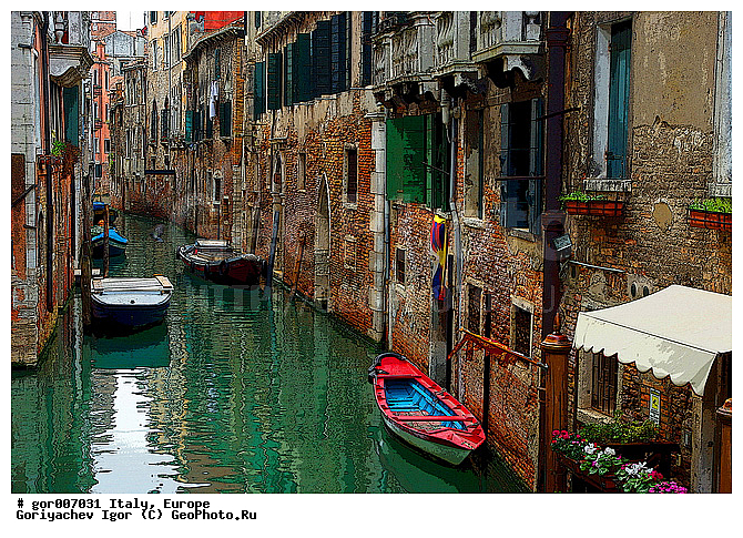 �������, ������, ��� ������, �������, ���, �����, �����