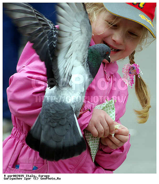 �������, ������, ��� ������, ������, �������, �����, ������