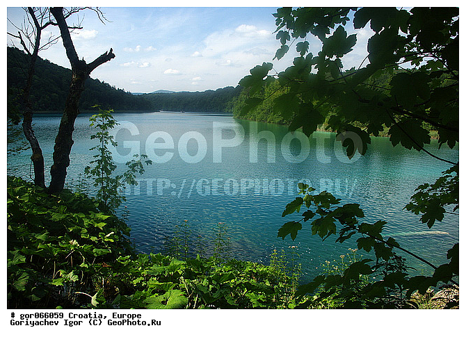 ���������� ����, ��������, �����, ������, ������������ ����, �����, ����, ��������