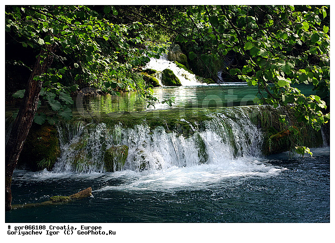 ���������� ����, ��������, �������, ������������ ����, ����, ����, ��������