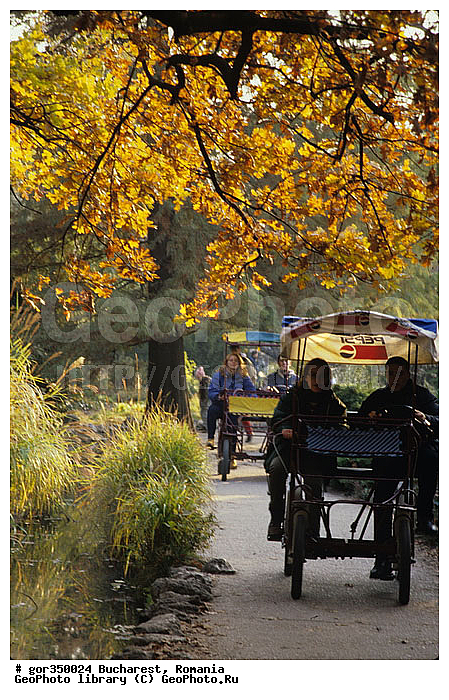 ��������, �������