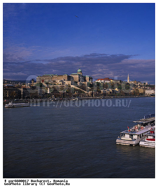 ��������, �������, ��� ������, ����, ����, ����, ������ ��������