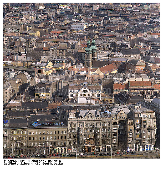 ��������, �������, ��� ������, �����, ��������