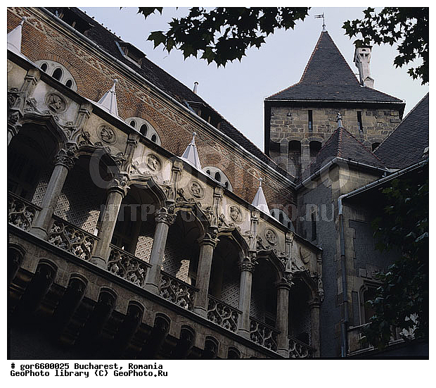 ��������, �������, ����, ������, �������