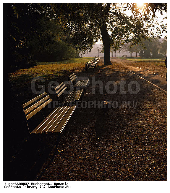 ��������, �������, �����, �������, �������, ������, ������� ������, ����, ��������, ��������� ����