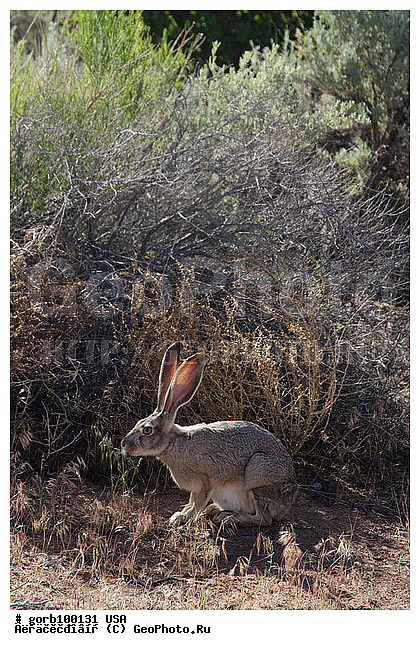 �������, ������ ����, ���, ���, ����, ������, ����, ������, ������������ ����