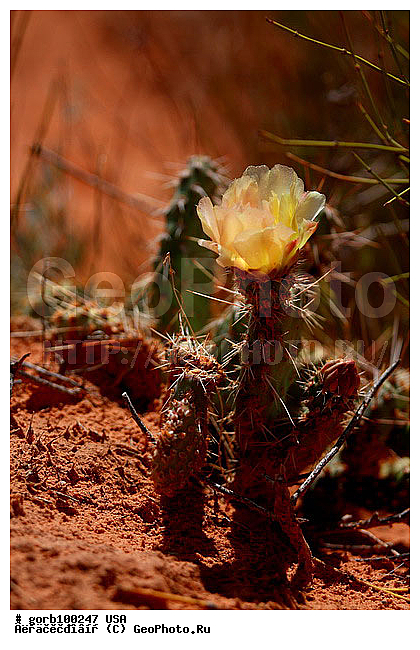 �������, �������, ������ ����, ���, ���, ����, ����, ����, ������, ������� �����, ����, �������