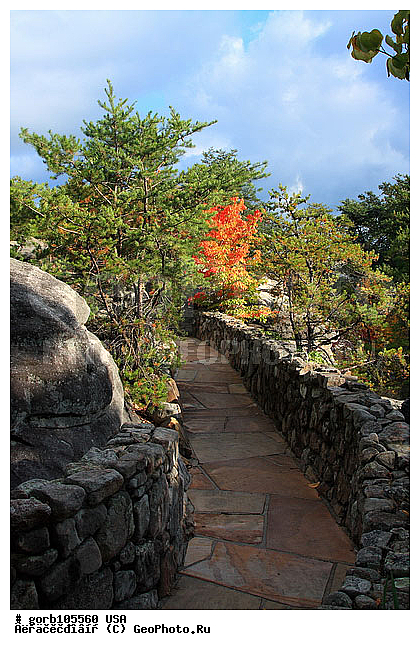 ���������, ���� ��������, ������, ������, �����