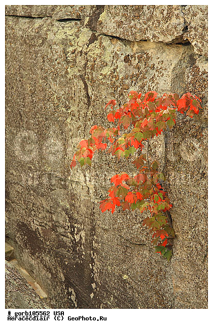 ���������, ���� ��������, ������, �����, �����