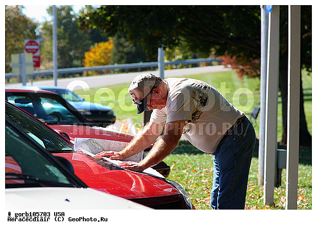 �������, ����������� ����, ���, ���� ��������� , �����, �����, ������, ���� ���������