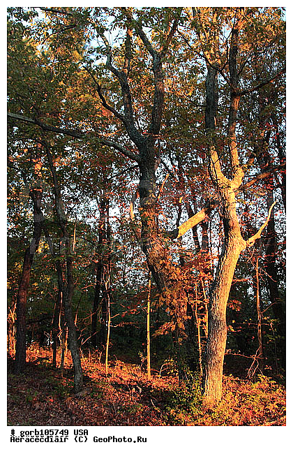 �������, ����������� ����, ���, ���� ��������� , ����, ������, �����, ���� ���������