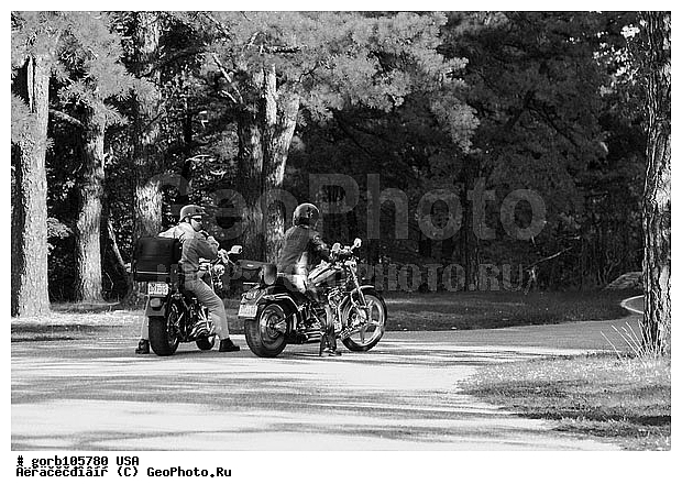 �������, ����������� ����, ���, ���� ��������� , �������, ����, ����, ��������, �����, ���� ���������