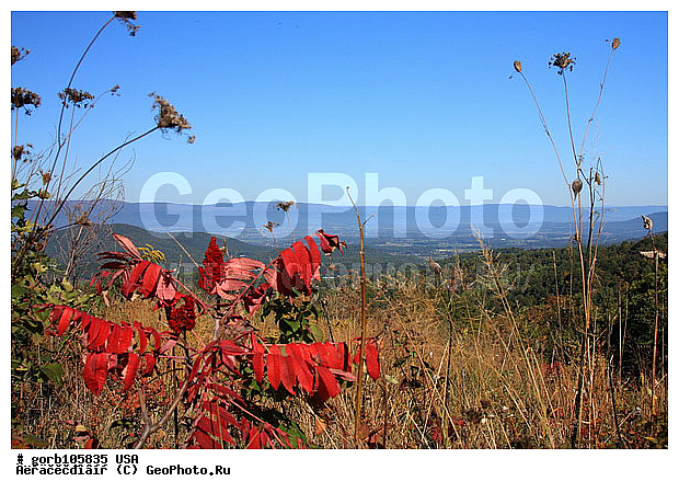 �������, ����������� ����, ���, ���� ��������� , ����, ������, �����, ���� ���������