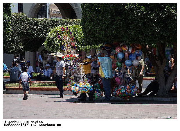 �������, �����, ������