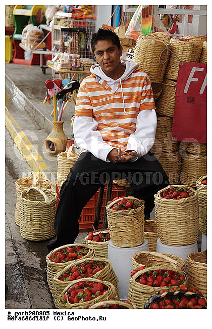 �������, ��������, ��������, ����������, �������� ��������, �����