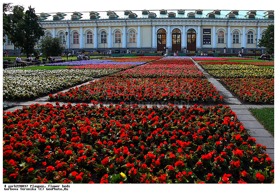 �����, �����, ������