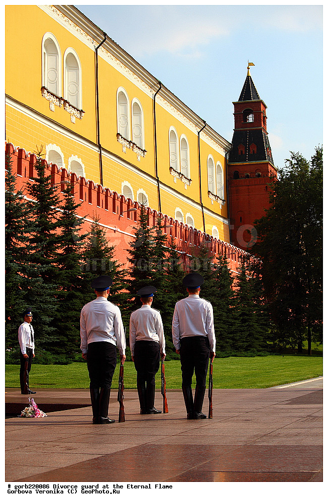 ������, ������ �����, ������, ��������