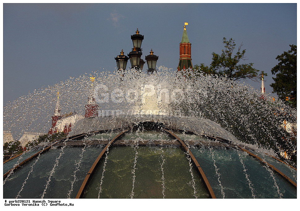 �����, �������� �������, �������