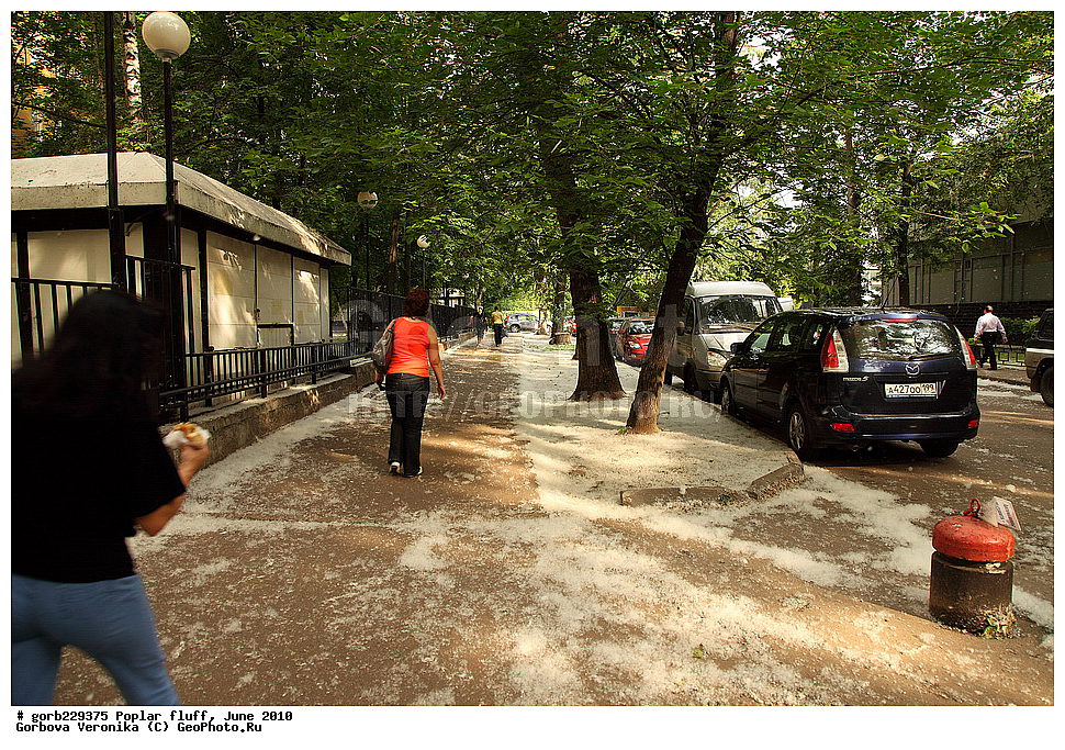 ��������� ���, ����, 2010