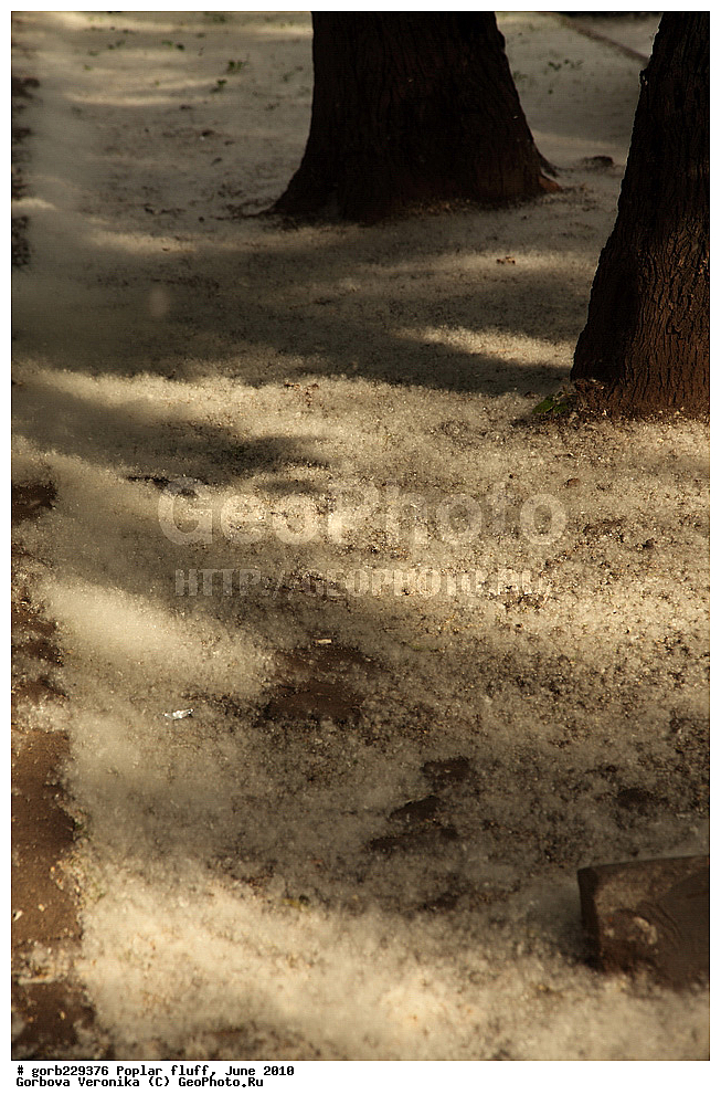 ��������� ���, ����, 2010