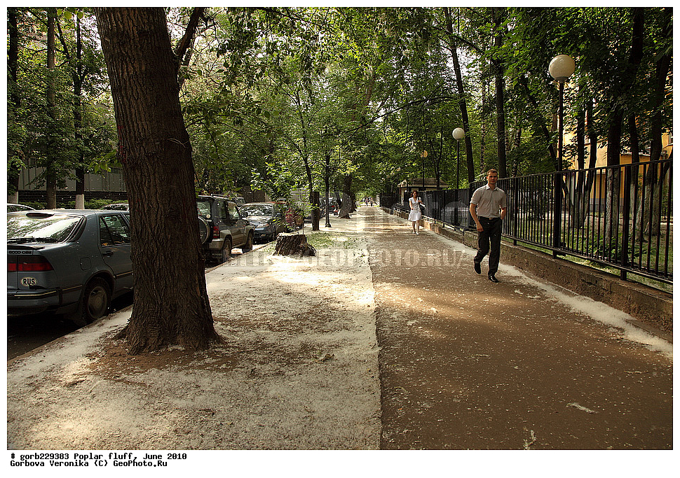 ��������� ���, ����, 2010