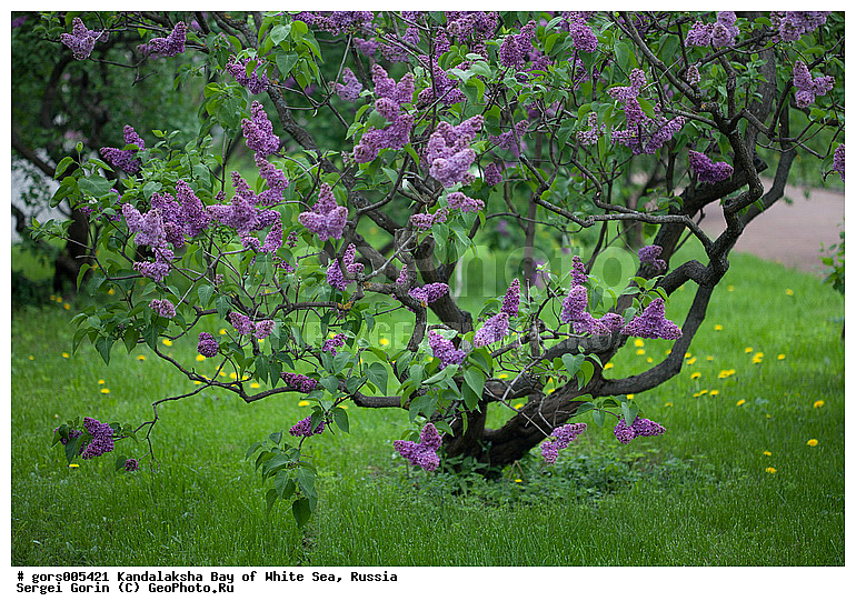 ������, �������� ������, ������������ ���, ���, �����, ���, ��������, ����������, ��������, �������, ��������, ��������, ���������, ����