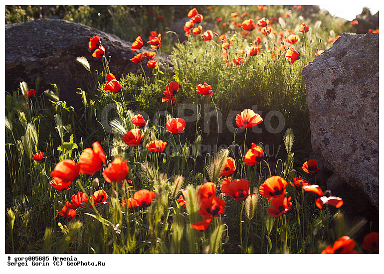 �������, ������, ��������� ����, ����, �����, �����