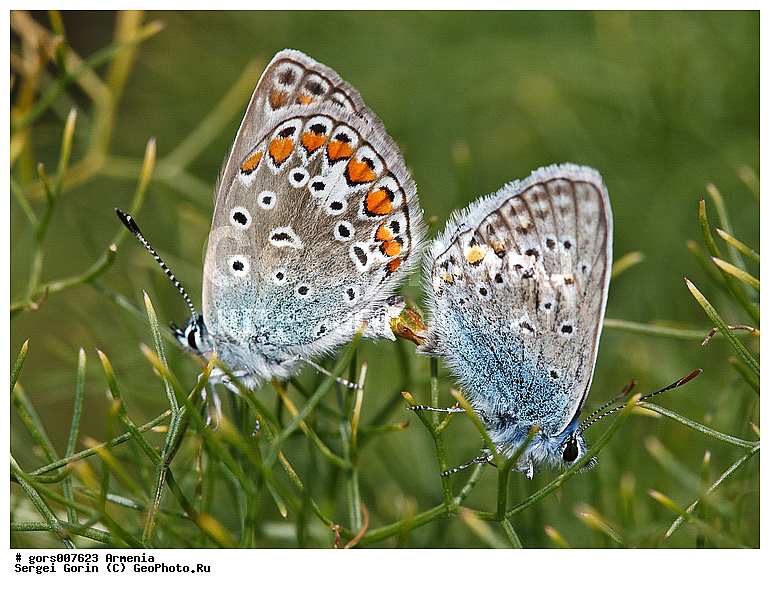 �������, �����, ���������� ����������, ���������, ������, �����, ���������, ����������