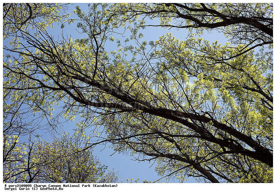 ������������ ����, ��������� ������, ���������, �����, ��������, ���������, ����� ���������, ���, �����, ����������, ������, ������������, ����, �������, �����������, ����, ������, ����������, ����� ����������, ������, ��������� �����