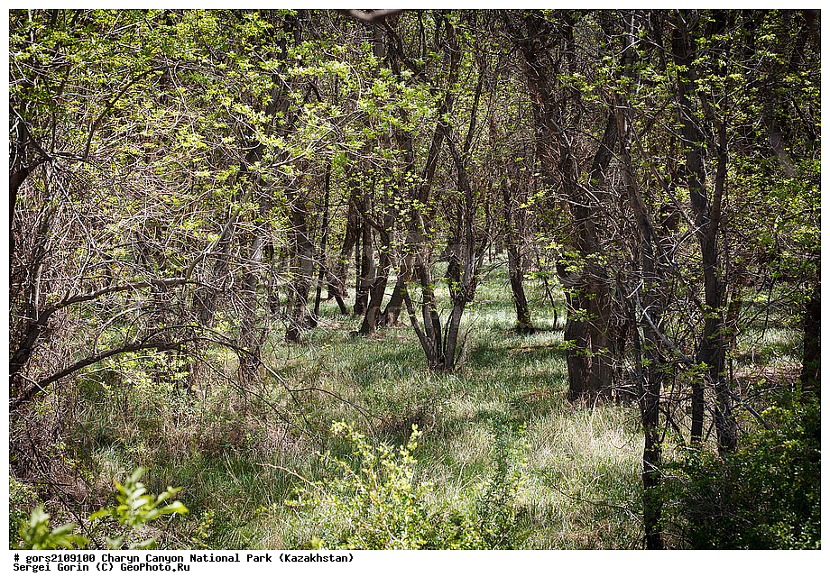 ������������ ����, ��������� ������, ���������, �����, ��������, ���������, ����� ���������, ���, �����, ����������, ������, ������������, ����, �������, �����������, ����, ������, ����������, ����� ����������, ������, ��������� �����, ������� �����