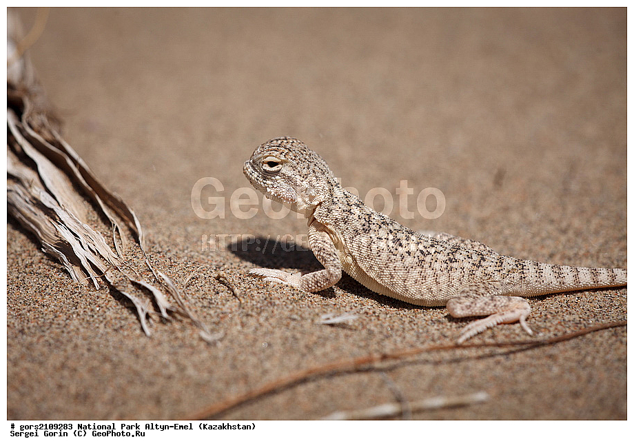 ������������ ����, �����-�����, ���������, ��������, ��������������, �������,  ��������, ������ ������, �����, ����, ��������������, ����������, �������������, �������, ���������, ������� ����