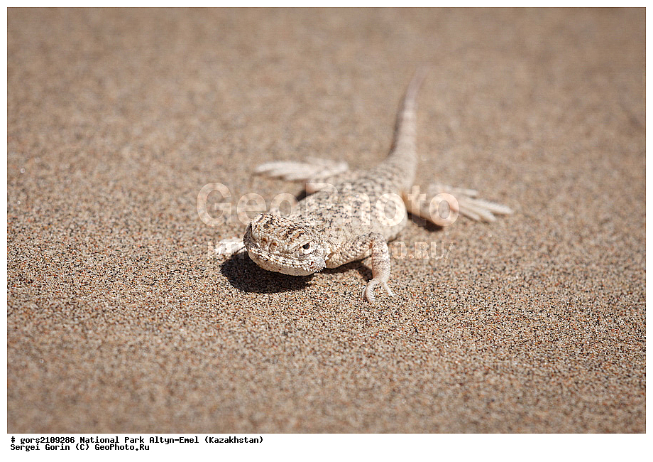 ������������ ����, �����-�����, ���������, ��������, ��������������, �������,  ��������, ������ ������, �����, ����, ��������������, ����������, �������������, �������, ���������, ������� ����